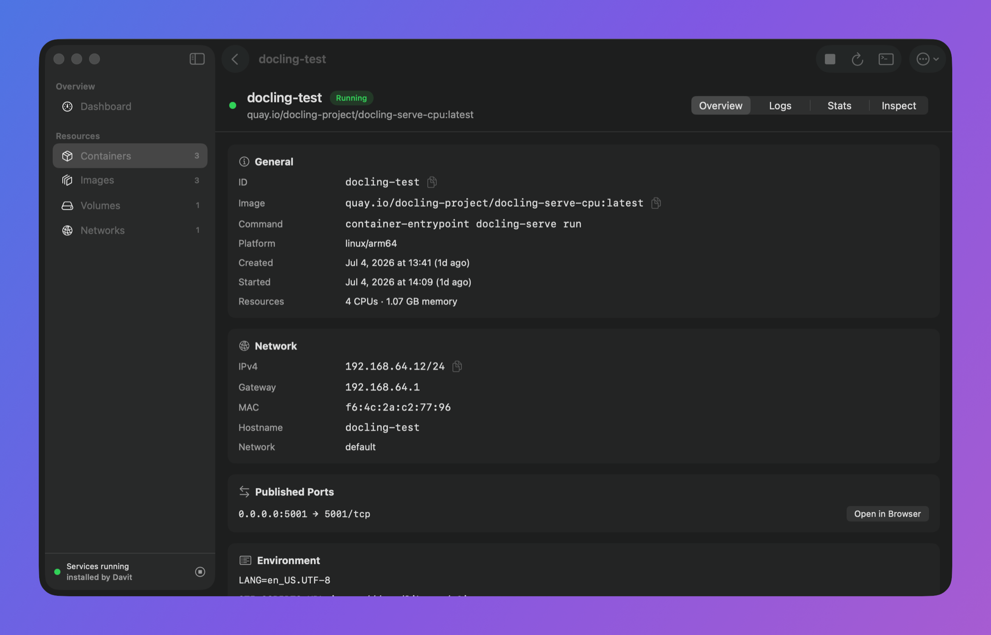 Container detail overview with network, ports, mounts and environment